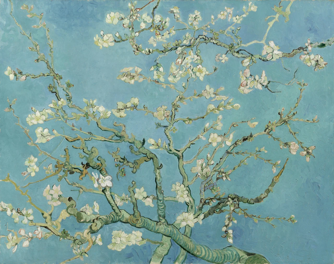 White almond blossoms reaching across a blue sky, painted by Vincent van Gogh.